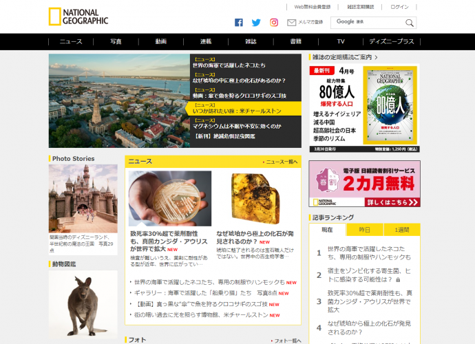 ナショナルジオグラフィック日本語版公式サイト
