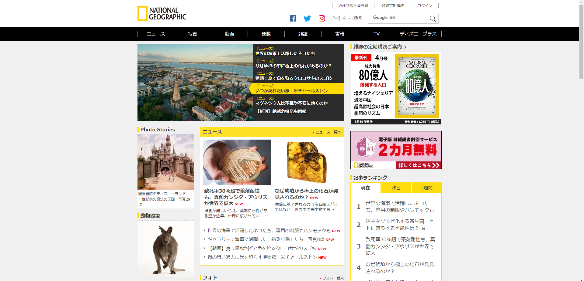 ナショナルジオグラフィック日本語版公式サイト