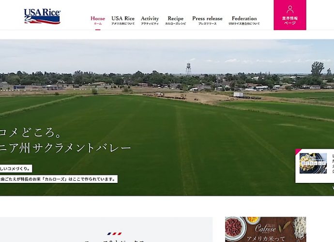 USA RICE