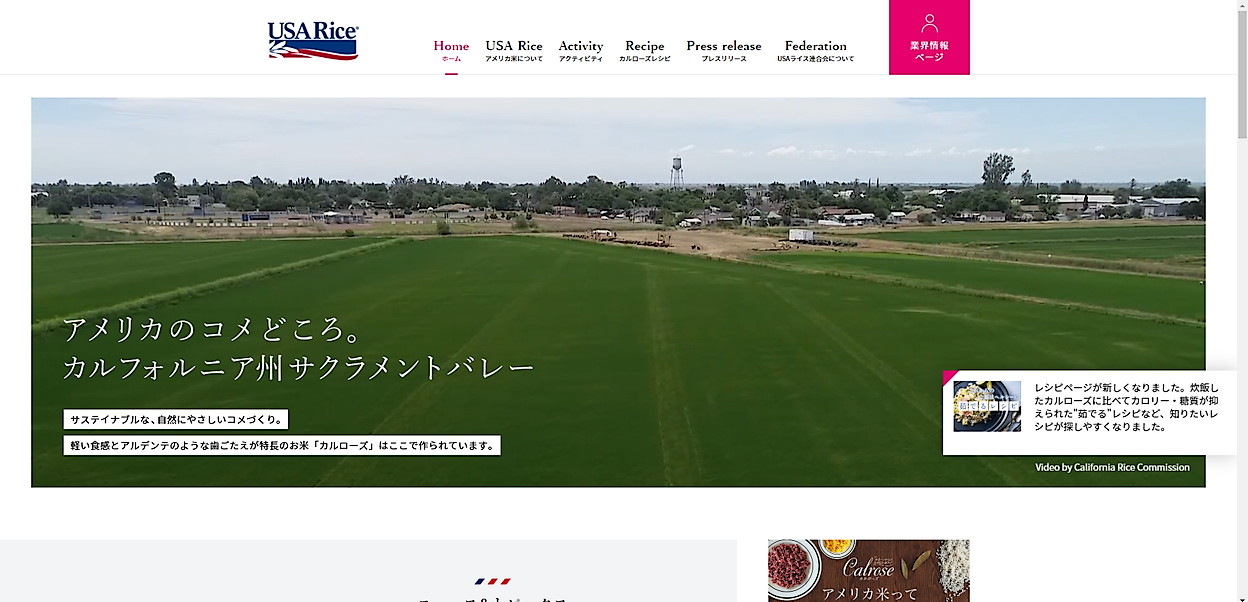 USA RICE