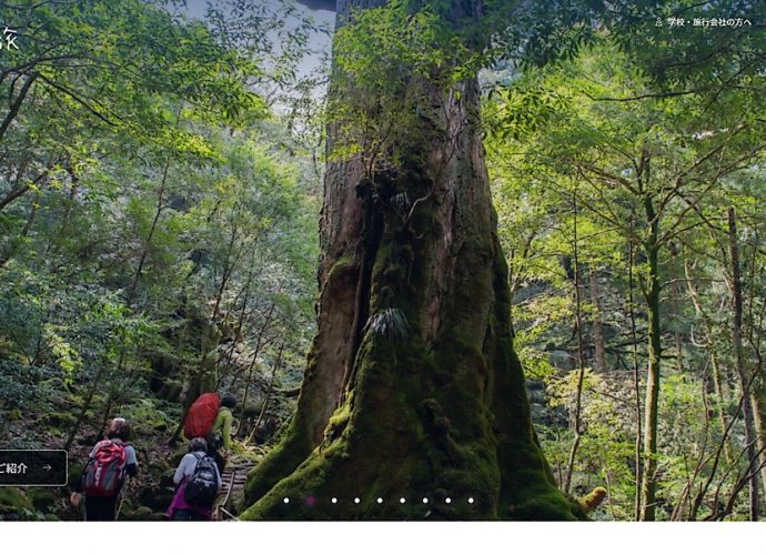 鹿児島県観光サイト