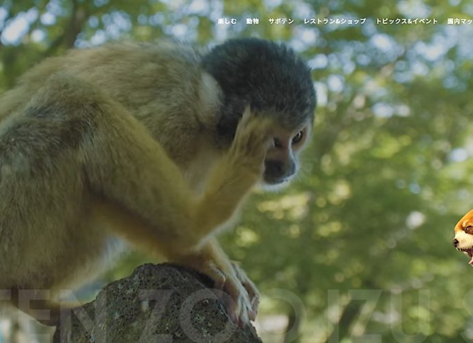 伊豆シャボテン動物公園