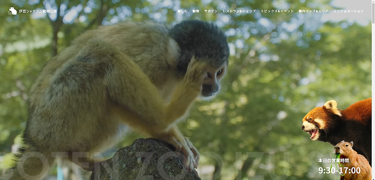 伊豆シャボテン動物公園