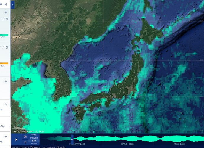 Global Fishing Watch